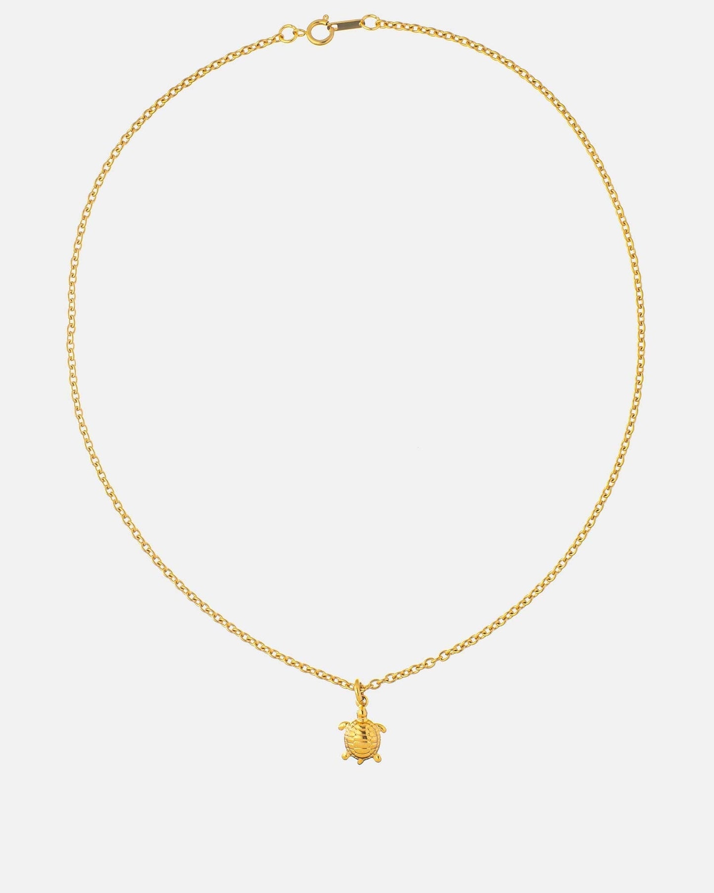 Turtle Necklace
