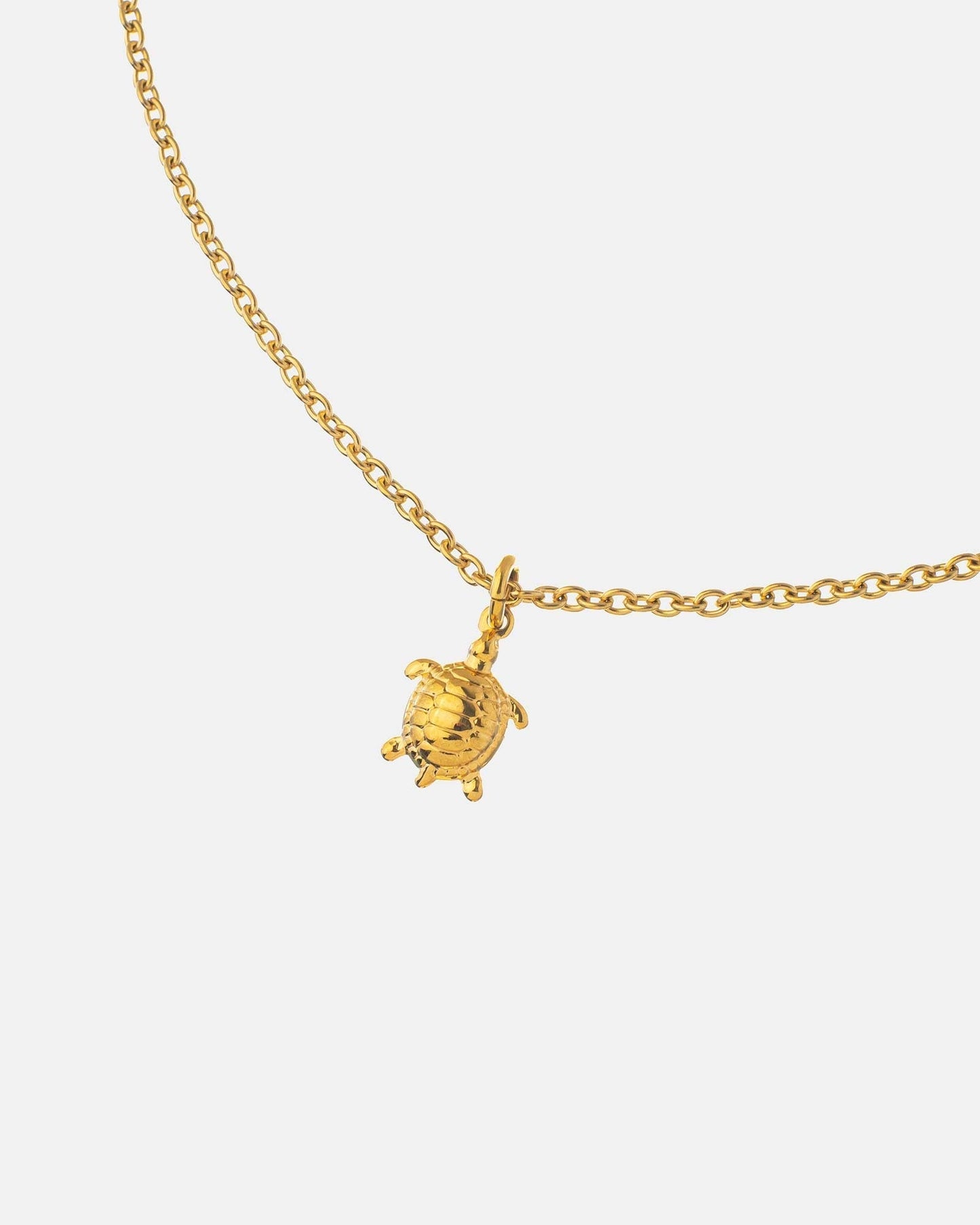 Turtle Necklace